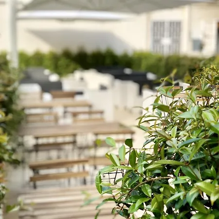 Amati Couette-café *